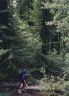 bigsur97_11
