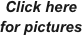 Click here for pictures